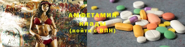 PSILOCYBIN Бородино