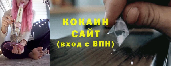 PSILOCYBIN Бородино