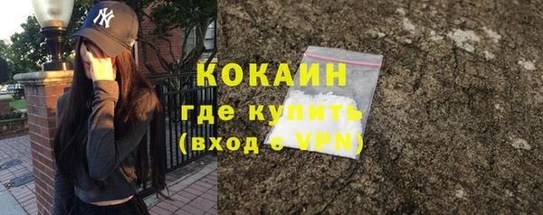 PSILOCYBIN Бородино