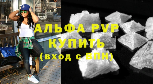 PSILOCYBIN Бородино