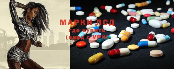 PSILOCYBIN Бородино