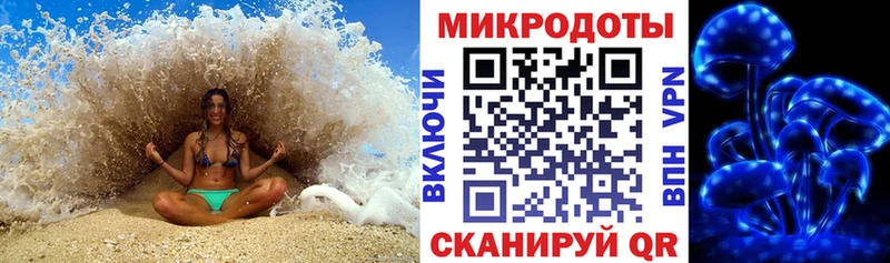 как найти   Короча  Галлюциногенные грибы Psilocybe 